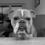 Ersteller:in Miriam Profilbild