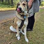 Ersteller:in Doreen Profilbild