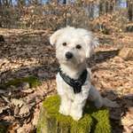 Ersteller:in Alina Profilbild