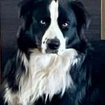 Ersteller:in Biene Profilbild