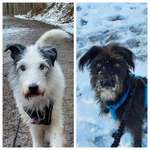 Ersteller:in Christiane Profilbild