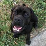 Ersteller:in Anastasia Profilbild