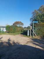 Hundeauslaufgebiet-Wiese-Bild