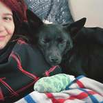 Ersteller:in Linda Profilbild