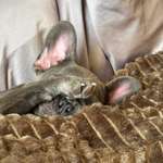 Ersteller:in Kristin Profilbild