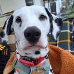 Ersteller:in Anja Profilbild