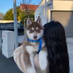 Ersteller:in Samantha Profilbild