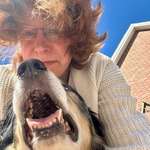 Ersteller:in Jacqueline Profilbild