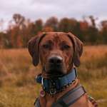 Ersteller:in Leonie Profilbild