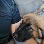 Ersteller:in Fabian Profilbild