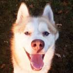 Ersteller:in Norbert Profilbild