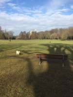 Hundeauslaufgebiet-Huthpark-Bild