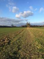 Hundeauslaufgebiet-Heiligenstock-Bild