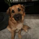 Ersteller:in Justin  Profilbild