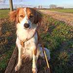 Ersteller:in Elfra Profilbild