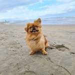 Ersteller:in Laura Profilbild