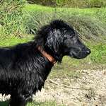 Ersteller:in Michael Profilbild