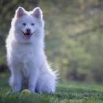 Ersteller:in Julia Profilbild