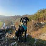 Ersteller:in Yvonne Profilbild