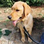 Ersteller:in Serii Profilbild