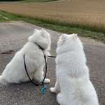 Ersteller:in Nicole Profilbild