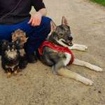 Ersteller:in Annie Profilbild