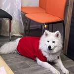 Ersteller:in Tehreen Profilbild