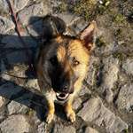 Ersteller:in Lyssi Profilbild