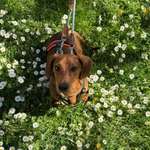 Ersteller:in Anna Profilbild