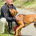 Ersteller:in Andreas Profilbild