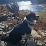 Ersteller:in Babs Profilbild