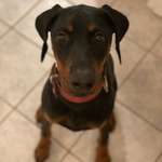 Ersteller:in Patrick Profilbild