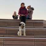 Ersteller:in Tschaika Profilbild