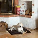 Ersteller:in Petra Profilbild