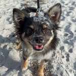 Ersteller:in Nadja Profilbild