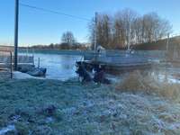 Hundeauslaufgebiet-Kurbelfähre-Bild