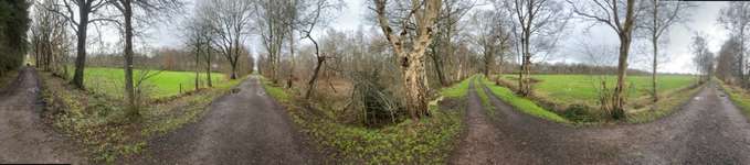 Hundeauslaufgebiet-Königsmoor-Bild