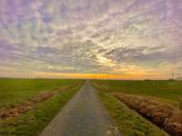 Hundeauslaufgebiet-Logar Hammrich-Bild