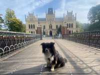 Hundeauslaufgebiet-Evenburg Schlosspark-Bild