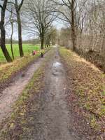 Hundeauslaufgebiet-Königsmoor-Bild