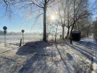 Hundeauslaufgebiet-Stikelkamperwald-Bild