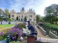 Hundeauslaufgebiet-Evenburg Schlosspark-Bild