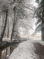 Hundeauslaufgebiet-Stikelkamperwald-Bild