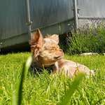 Ersteller:in CarMen Profilbild