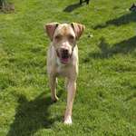 Ersteller:in Sarah Profilbild