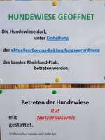 Hundeauslaufgebiet-Flörsheim-Dalsheim-Bild