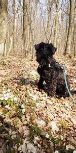 Ferien Intensivtraining-Beitrag-Bild