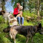 Ersteller:in Petra Profilbild