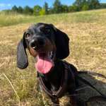 Ersteller:in Johanna Profilbild