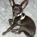 Ersteller:in Claudia Profilbild